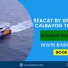 Seacat calbayog to naval biliran ferry