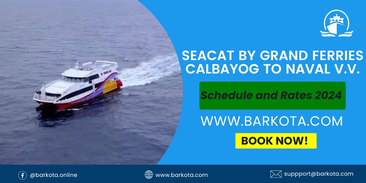 Seacat calbayog to naval biliran ferry